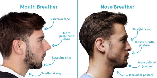 PureAir Night Breathing System