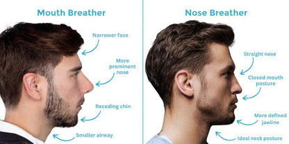 PureAir Night Breathing System