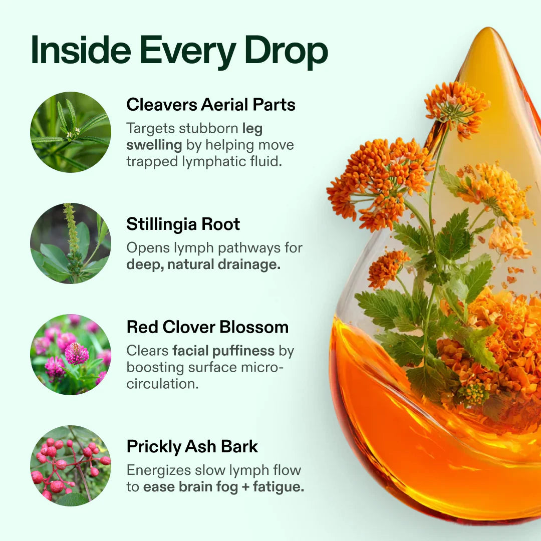 Velenor Lymphoria Lymphatic Cleanse