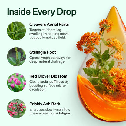 Velenor Lymphoria Lymphatic Cleanse